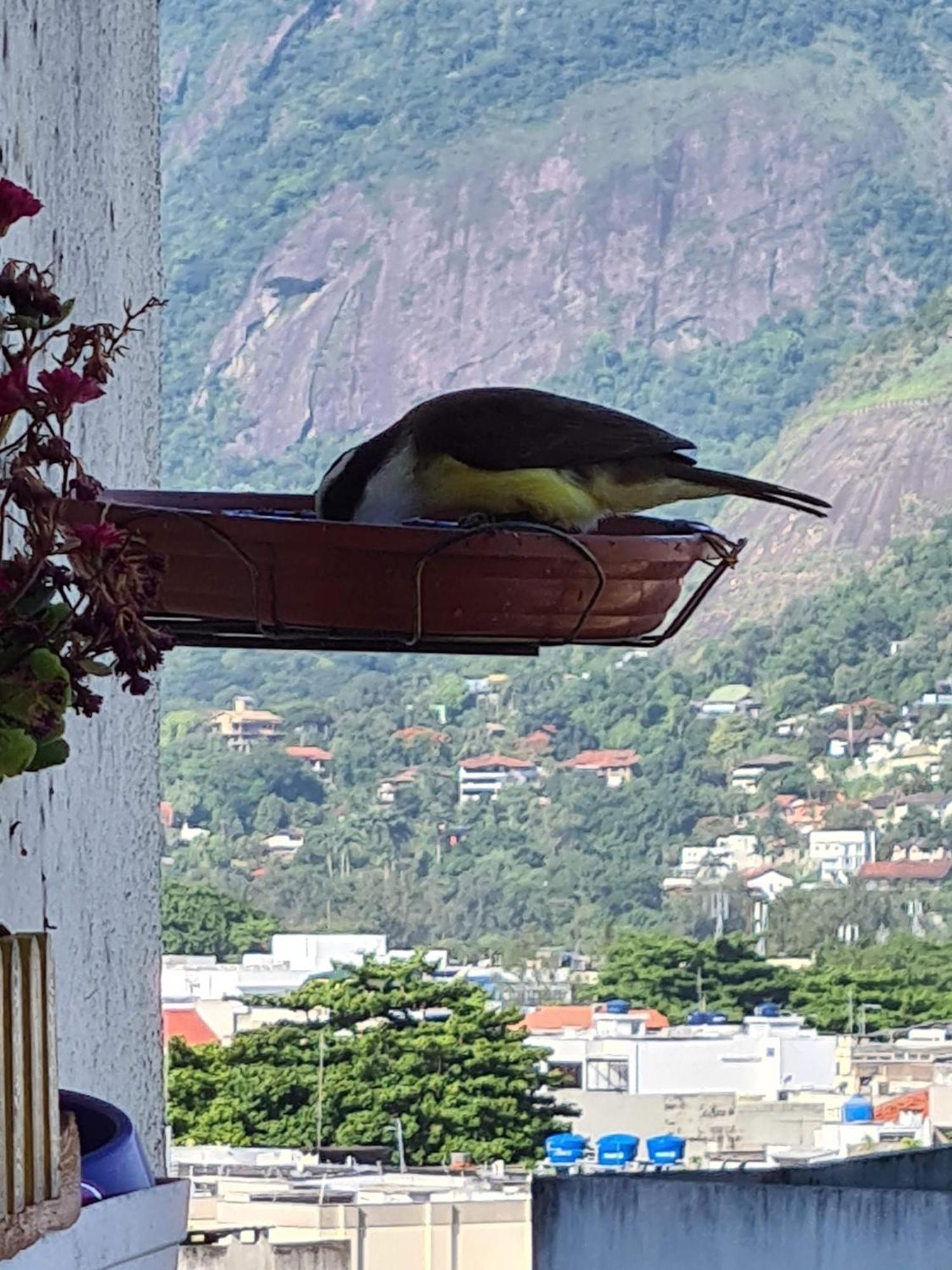 Apto Barra Da Tijuca Frente Pro Mar Rio de Janeiro Exterior photo